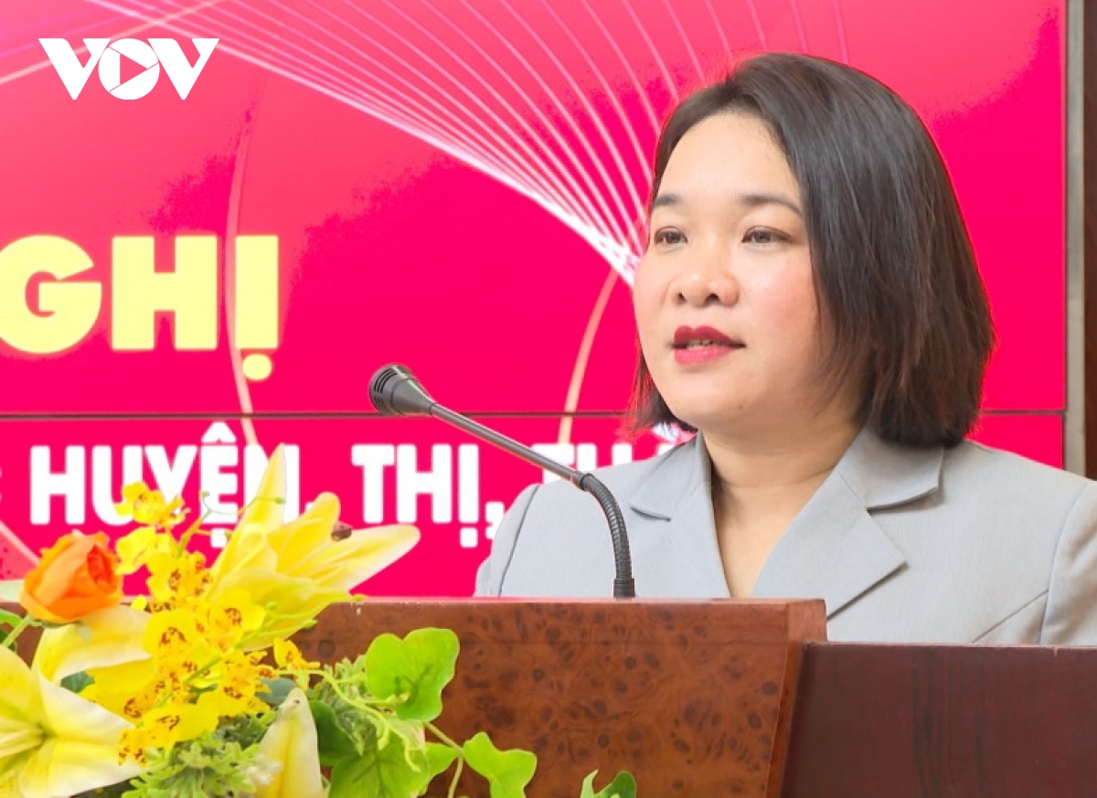 ba huynh thi thuy dung lam truong ban tuyen giao va dan van tinh uy quang nam hinh anh 2