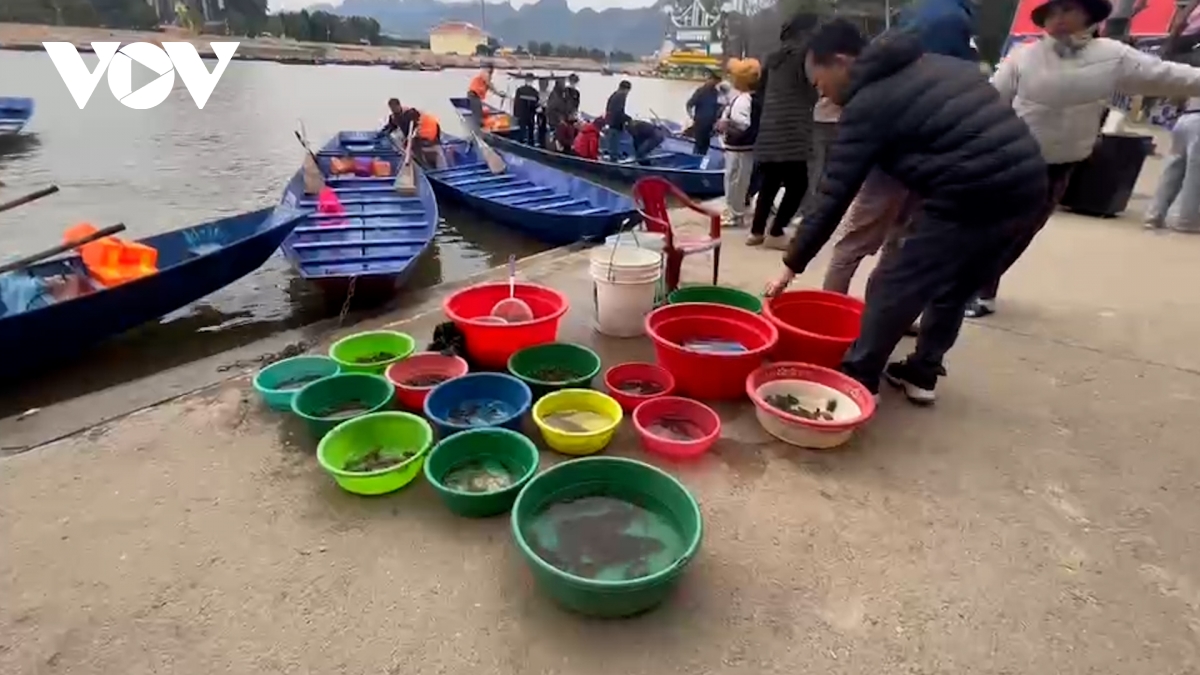 phong sinh rua tai do tai le hoi chua huong - loi bat cap hai hinh anh 1