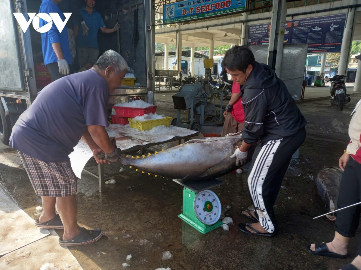 khánh hòa tái cơ cấu kinh tế, duy trì tăng trưởng grdp trên 10 hình ảnh 4 khanh hoa tai co cau kinh te, duy tri tang truong grdp tren 10 hinh anh 4