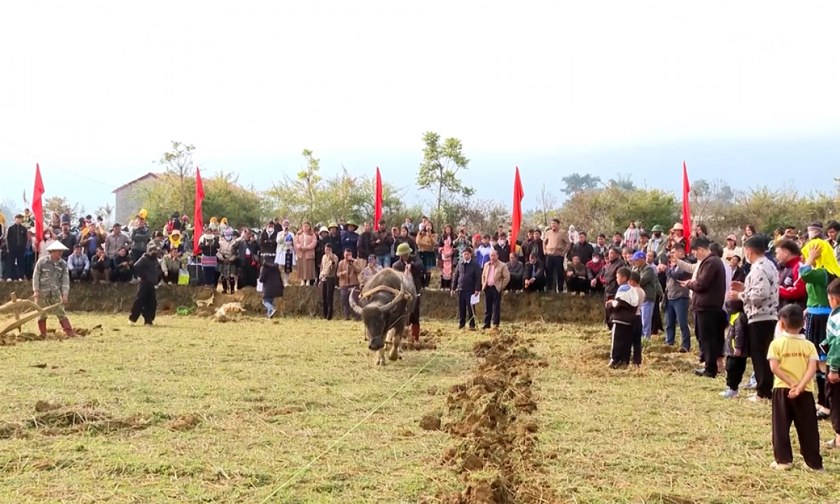 Độc đáo hội thi cày ruộng của đồng bào mông lai châu hình ảnh 2 Doc dao hoi thi cay ruong cua dong bao mong lai chau hinh anh 2