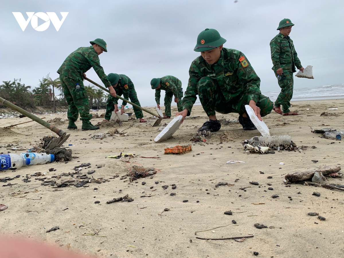 thu gom hang chuc tan dau von cuc troi dat vao bai bien lang co hinh anh 5