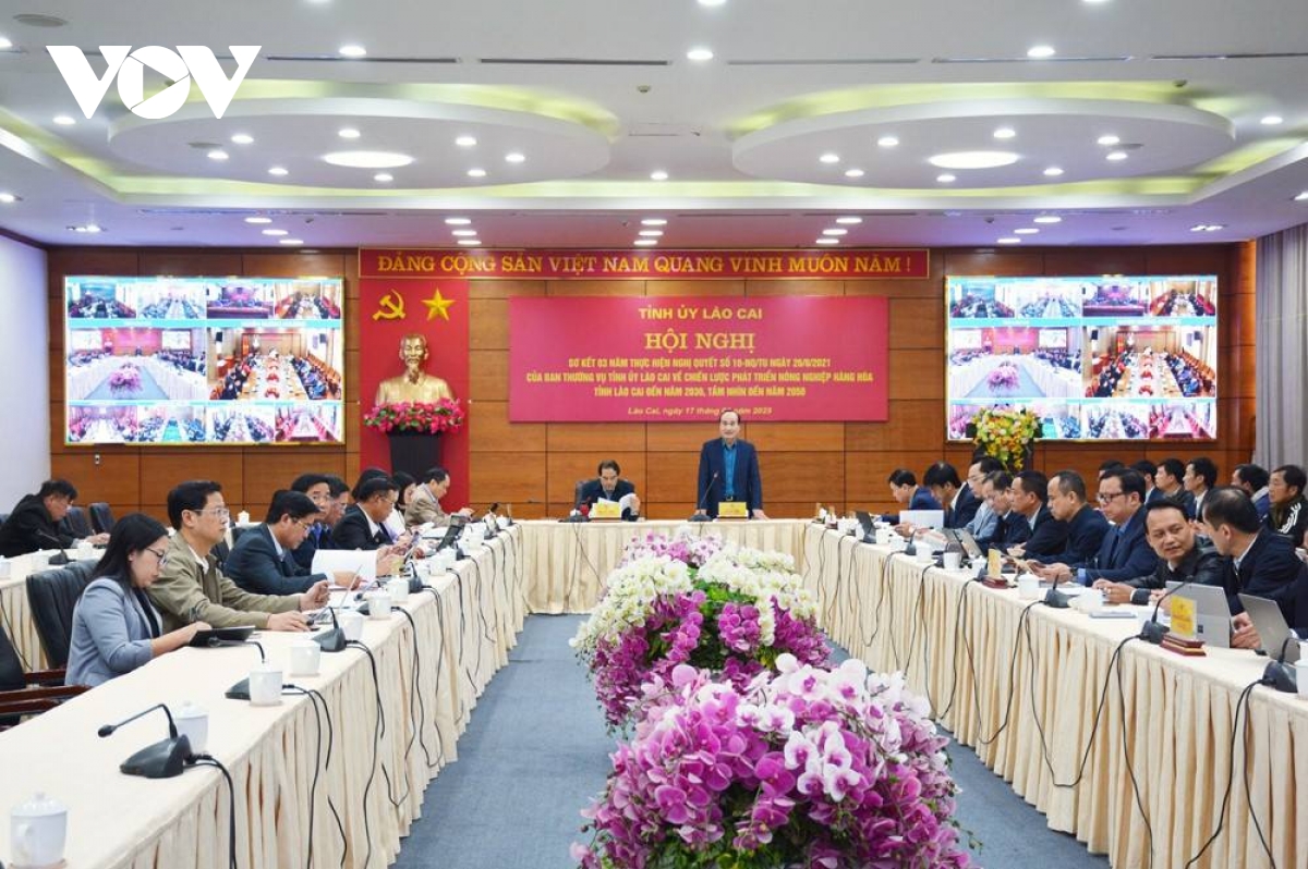 Lào Cai chấm dứt hoạt động 9 Ban Chỉ đạo của Tỉnh ủy