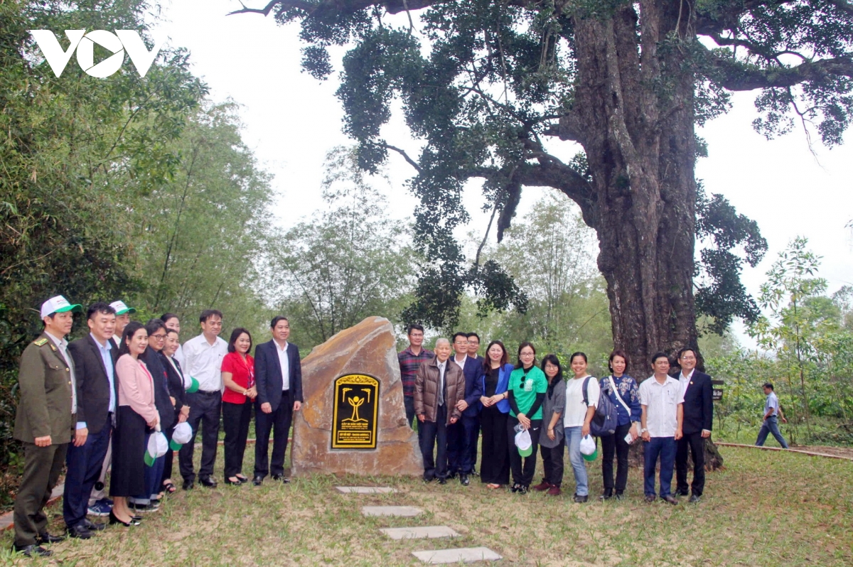 bế mạc năm phục hồi đa dạng sinh học quốc gia - quảng nam 2024 hình ảnh 3 be mac nam phuc hoi da dang sinh hoc quoc gia - quang nam 2024 hinh anh 3