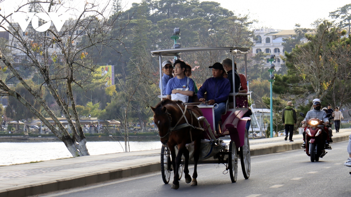 Khách du Xuân Đà Lạt thích thú trong tiết trời se lạnh