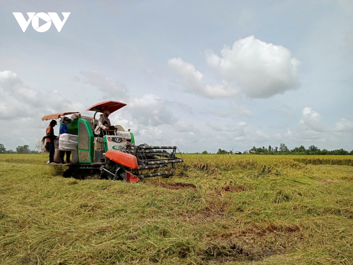 Đbscl nỗ lực thu hút đầu tư, ứng dụng công nghệ chuyển đổi số, chuyển đổi xanh hình ảnh 1 Dbscl no luc thu hut dau tu, ung dung cong nghe chuyen doi so, chuyen doi xanh hinh anh 1
