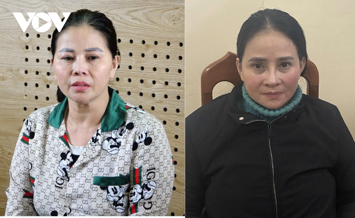 khoi to, bat tam giam 2 doi tuong ve hanh vi mua ban nguoi hinh anh 1