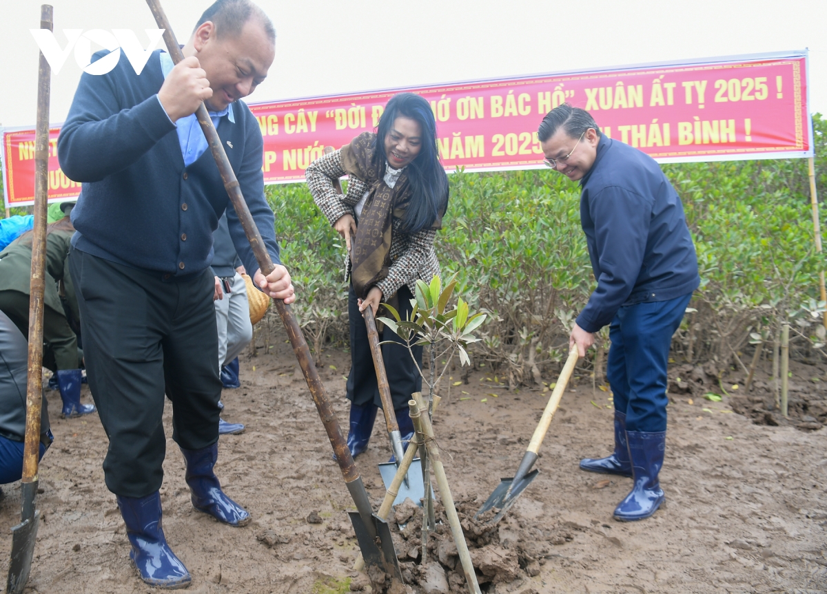 nhan rong hon nua la phoi xanh ven bien, tao sinh ke ben vung cho nguoi dan hinh anh 5