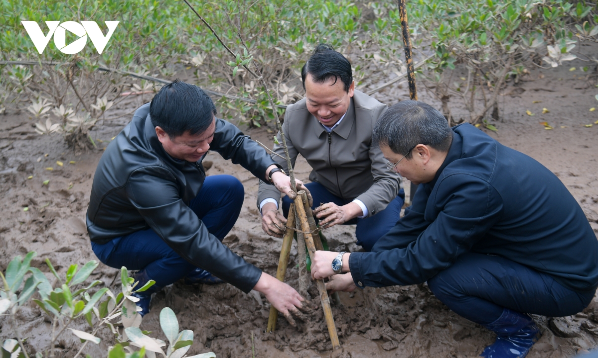 nhan rong hon nua la phoi xanh ven bien, tao sinh ke ben vung cho nguoi dan hinh anh 4