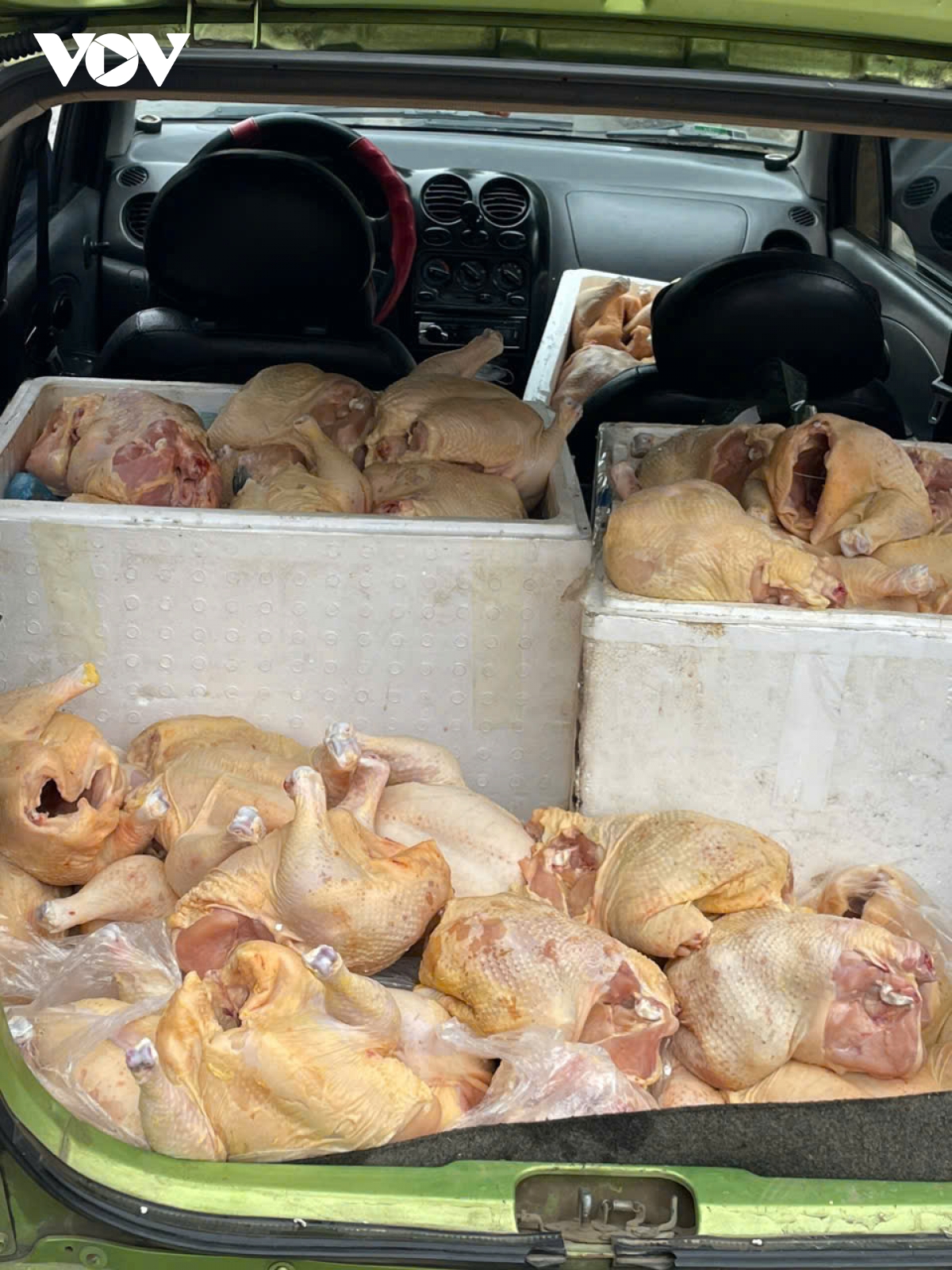 phát hiện gần 2 tạ thịt gà đã bốc mùi hôi thối trên đường đi tiêu thụ hình ảnh 2 phat hien gan 2 ta thit ga da boc mui hoi thoi tren duong di tieu thu hinh anh 2