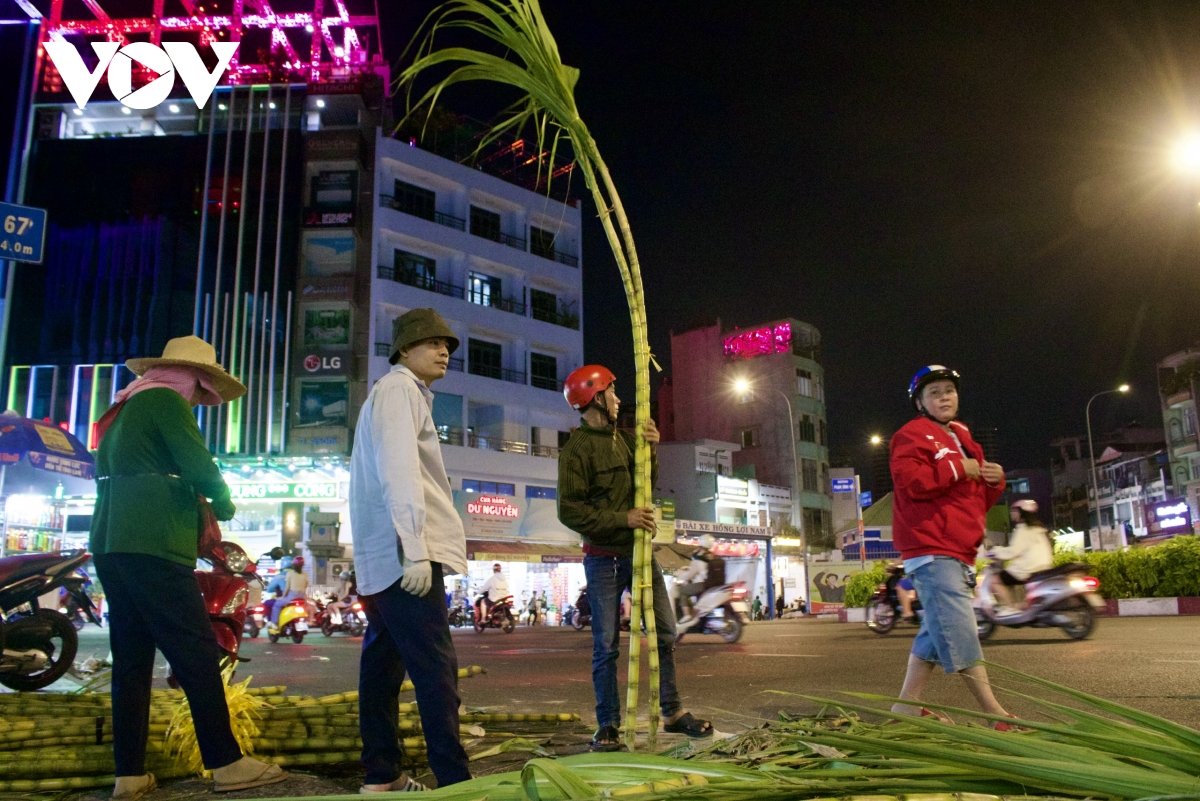 heo sua quay chay hang ngay via ngoc hoang hinh anh 4