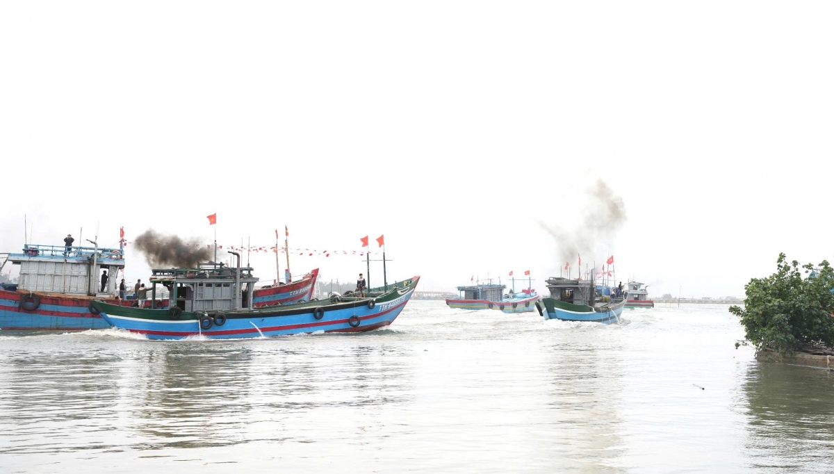 Ngư dân Huế ra quân đánh bắt vụ cá Nam