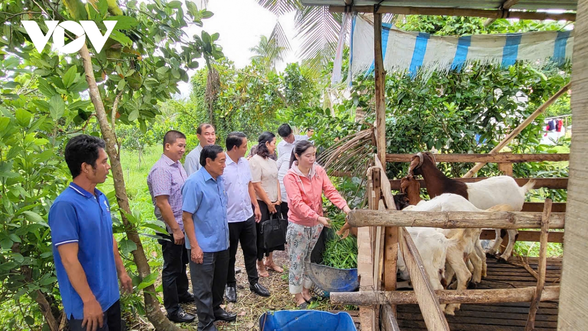 hau giang con chua toi 1,5 ho ngheo hinh anh 2