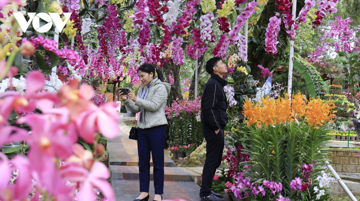 hoa Da lat mo khoa cong nghe de tang suc canh tranh hinh anh 3