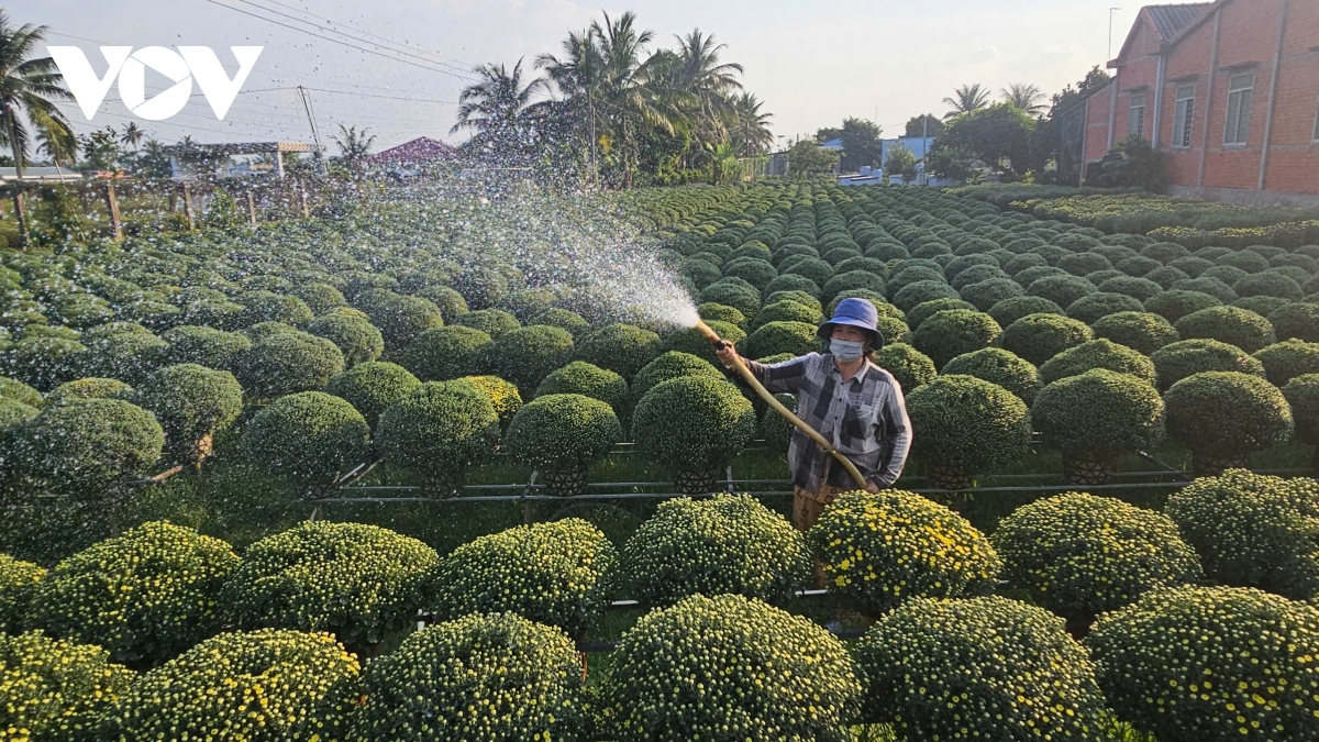 hon 8 trieu san pham hoa, kieng cho lach duoc tieu thu dip tet hinh anh 2