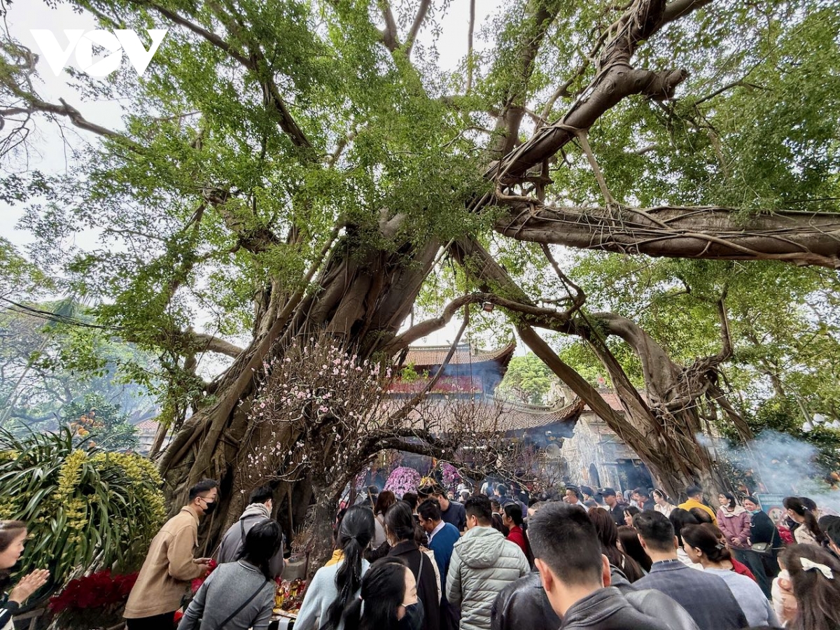  bien nguoi do ve Den mau hung yen cau tai, cau loc hinh anh 1