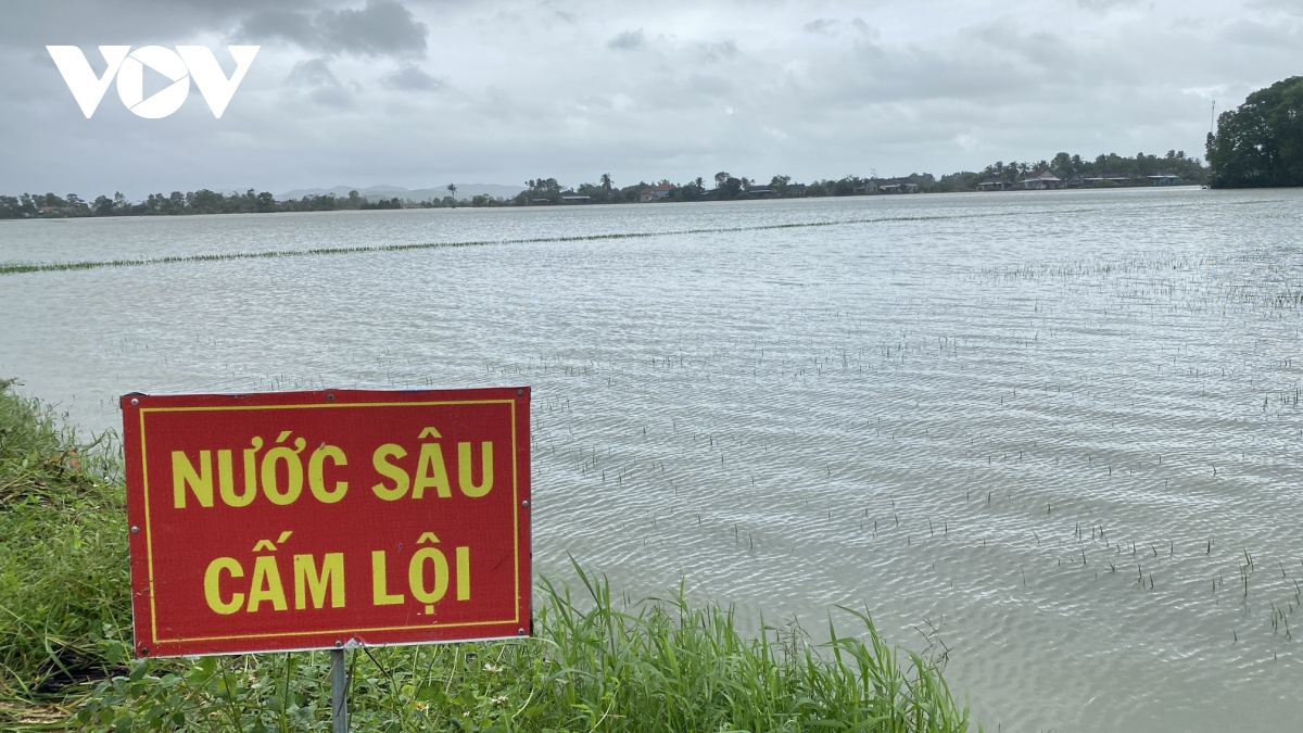 phu yen hang ngan ha lua va hoa mau bi nuoc lu nhan chim hinh anh 8