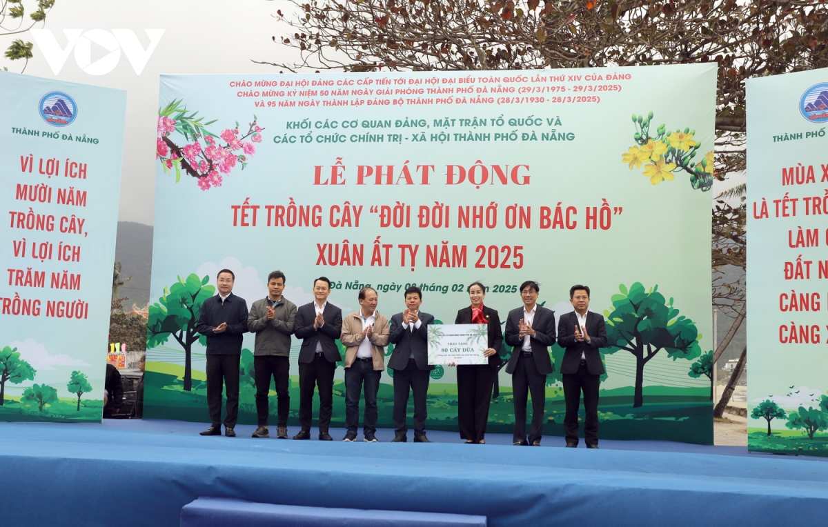 trồng thêm 175 cây dừa dọc bãi biển du lịch Đà nẵng hình ảnh 1 trong them 175 cay dua doc bai bien du lich Da nang hinh anh 1