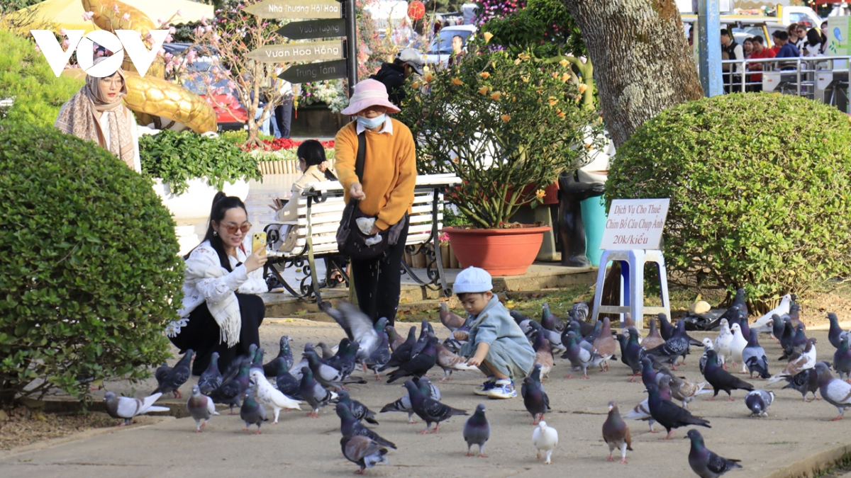 khach du xuan Da lat thich thu trong tiet troi se lanh hinh anh 4