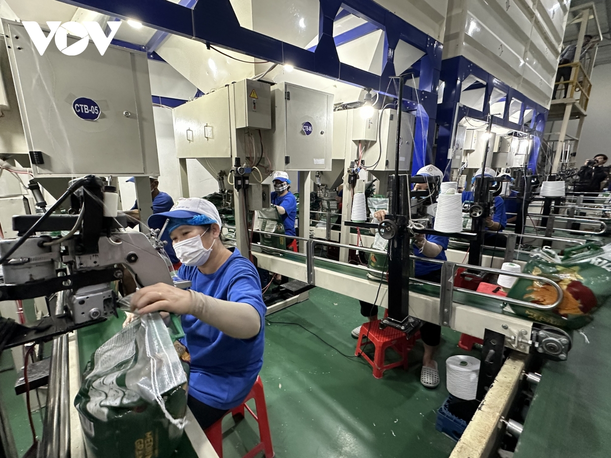 cần thơ không để tình trạng ăn tết kéo dài trong cán bộ, công chức hình ảnh 3 can tho khong de tinh trang an tet keo dai trong can bo, cong chuc hinh anh 3