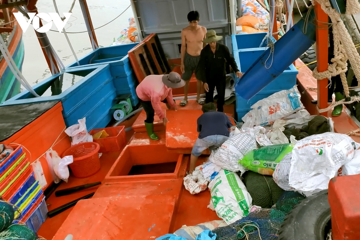ngư dân trà vinh gặp khó trong hoạt động khai thác hải sản hình ảnh 4 ngu dan tra vinh gap kho trong hoat dong khai thac hai san hinh anh 4