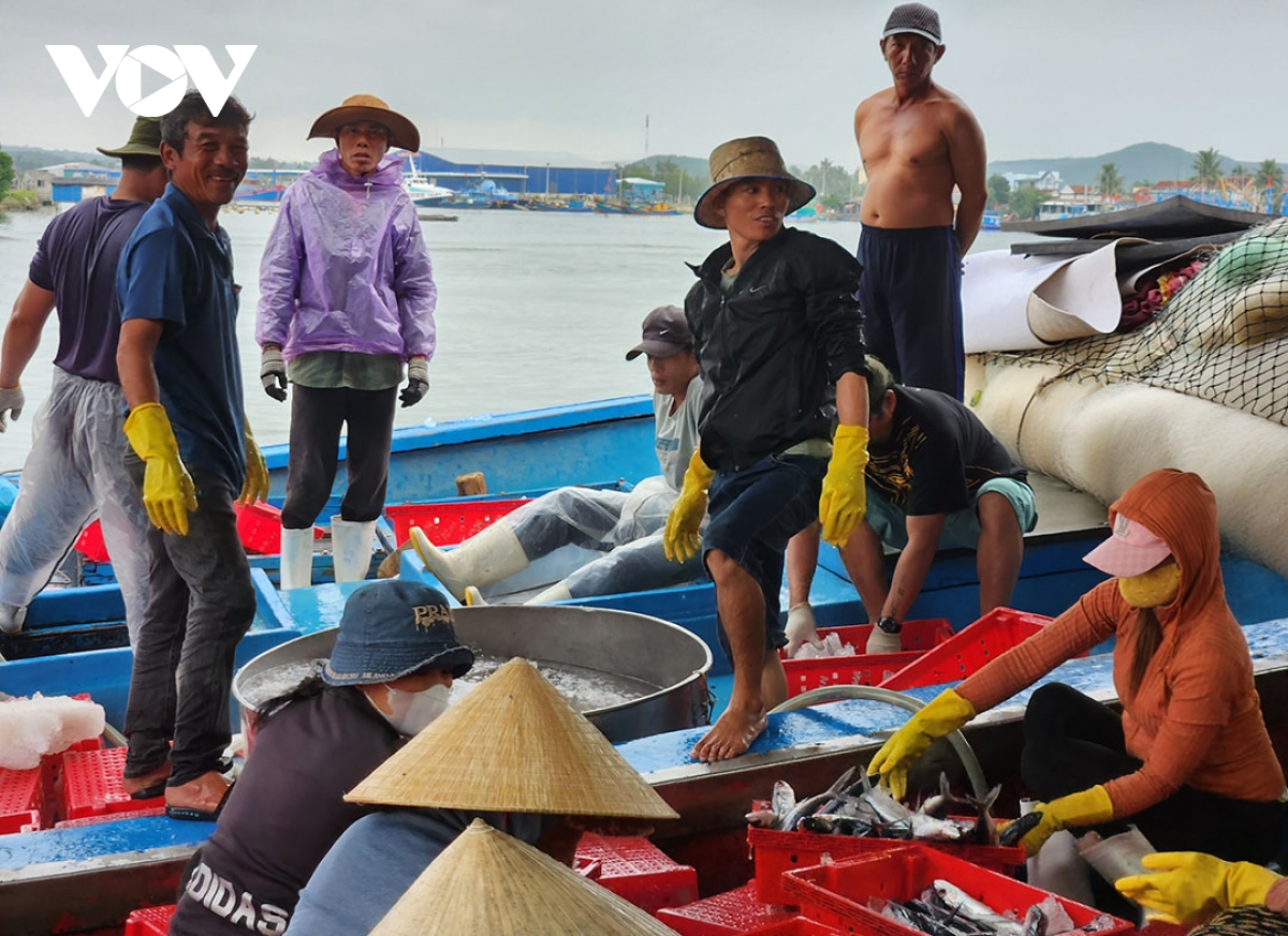 ngư dân quảng ngãi sẵn sàng cho mùa biển mới hình ảnh 1 ngu dan quang ngai san sang cho mua bien moi hinh anh 1