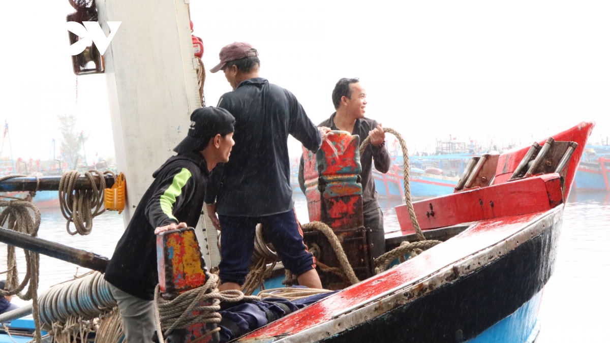 rộn ràng phiên biển đầu năm hình ảnh 5 ron rang phien bien dau nam hinh anh 5