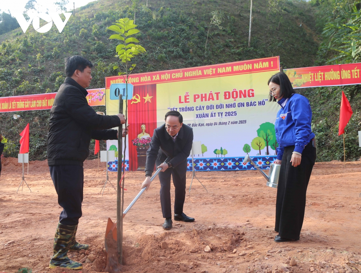 bắc kạn phát động tết trồng cây đời đời nhớ ơn bác hồ hình ảnh 1 bac kan phat dong tet trong cay doi doi nho on bac ho hinh anh 1