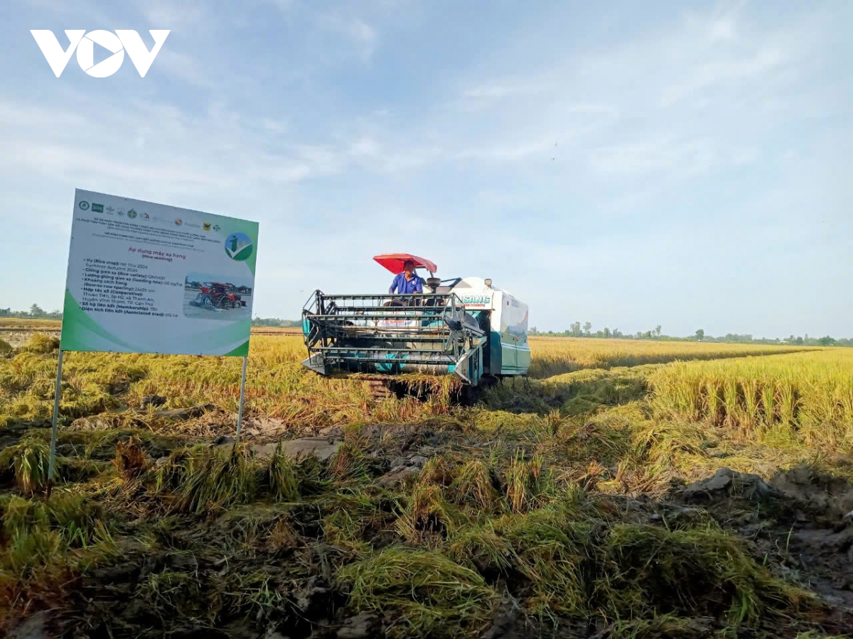 thu hút doanh nghiệp nhật bản đầu tư vào chuyển đổi số, chuyển đổi xanh ở Đbscl hình ảnh 1 thu hut doanh nghiep nhat ban dau tu vao chuyen doi so, chuyen doi xanh o Dbscl hinh anh 1