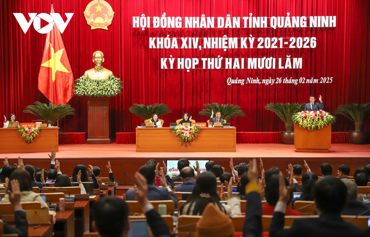 quang ninh thanh lap 7 so thuoc ubnd tinh hinh anh 1