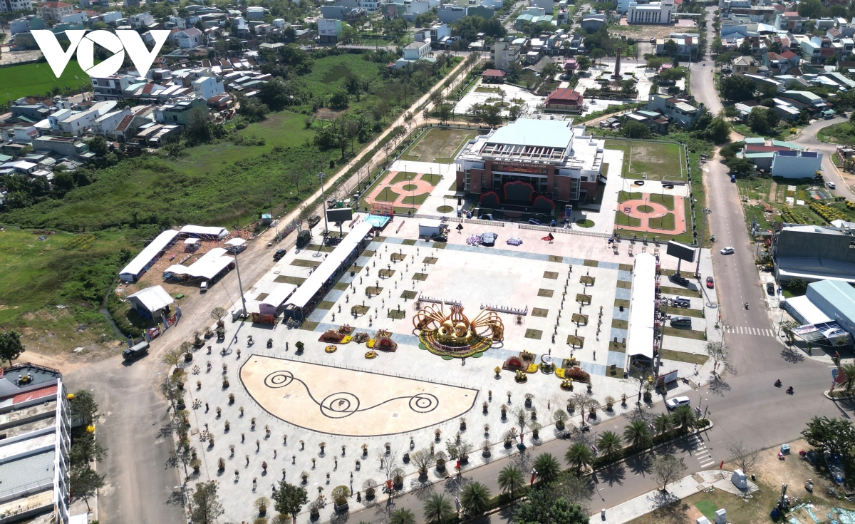 hàng trăm cây mai được trưng bày tại lễ hội mai vàng an nhơn bình Định hình ảnh 3 hang tram cay mai duoc trung bay tai le hoi mai vang an nhon binh Dinh hinh anh 3