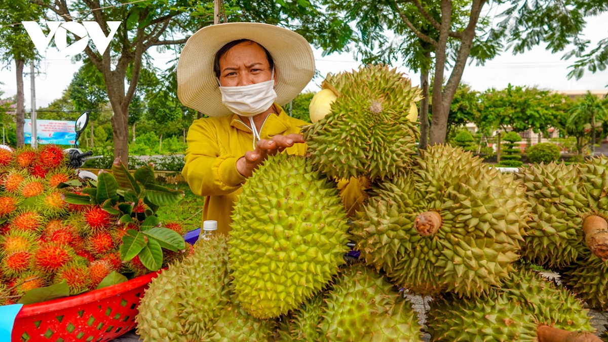 Việt Nam gia tăng lợi thế xuất khẩu trái cây, rau quả sang thị trường Trung Quốc