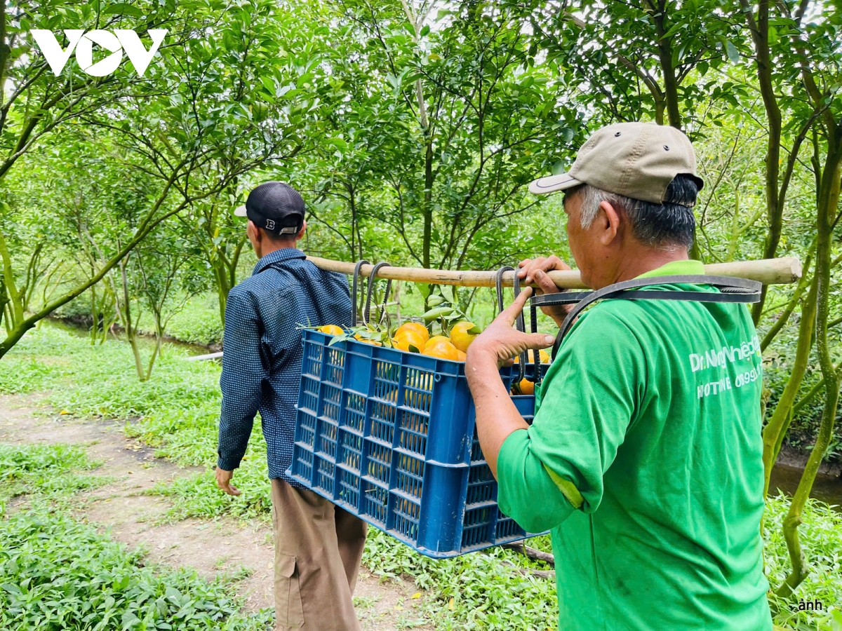 trải lòng của tư lệnh ngành về vai trò điểm tựa nông nghiệp việt nam hình ảnh 4 trai long cua tu lenh nganh ve vai tro diem tua nong nghiep viet nam hinh anh 4