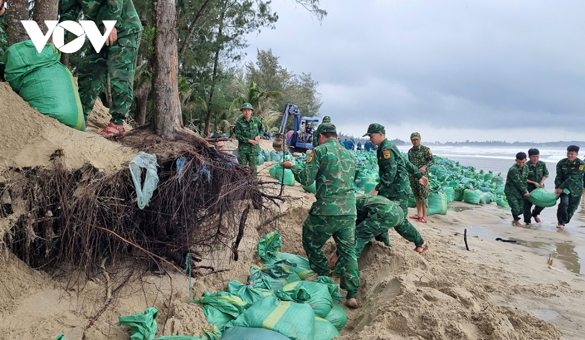 quảng ngãi huy động hàng trăm bộ đội, người dân gia cố khẩn cấp bờ biển mỹ khê hình ảnh 4 quang ngai huy dong hang tram bo doi, nguoi dan gia co khan cap bo bien my khe hinh anh 4