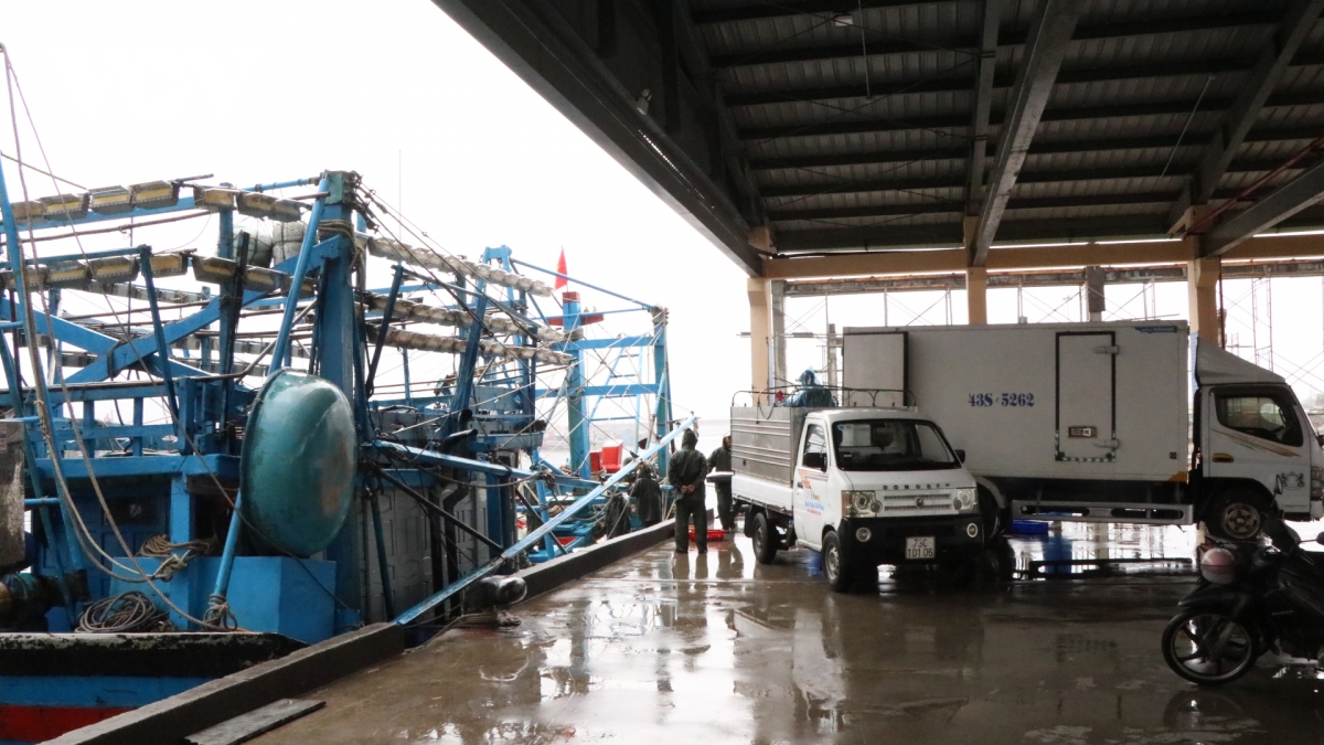 rộn ràng phiên biển đầu năm hình ảnh 3 ron rang phien bien dau nam hinh anh 3