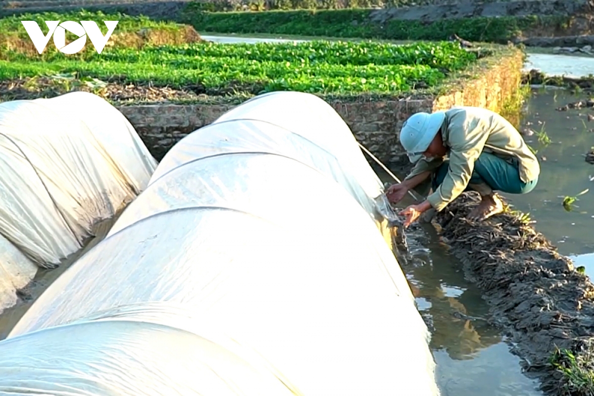 hướng phát triển nông nghiệp bền vững ở vùng cao than uyên hình ảnh 4 huong phat trien nong nghiep ben vung o vung cao than uyen hinh anh 4