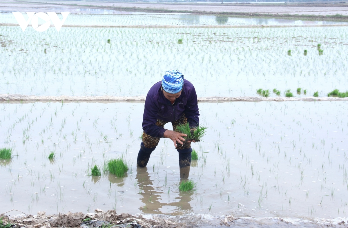 tiết kiệm nước cho các hồ chứa thủy điện cần đảm bảo kế hoạch đổ ải Đông xuân hình ảnh 3 tiet kiem nuoc cho cac ho chua thuy dien can dam bao ke hoach do ai Dong xuan hinh anh 3