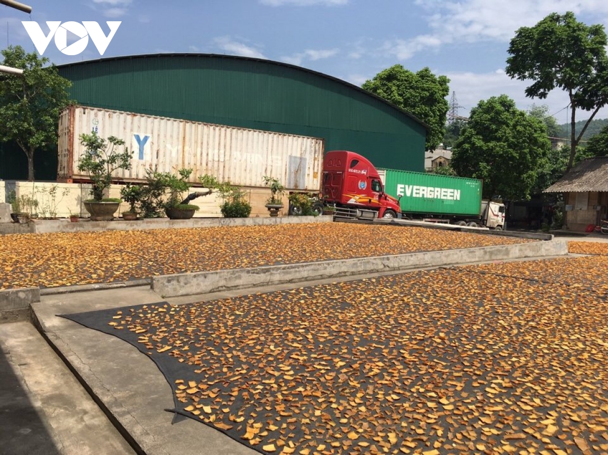 rộn ràng không khí lao động, sản xuất đầu xuân ở yên bái hình ảnh 2 ron rang khong khi lao dong, san xuat dau xuan o yen bai hinh anh 2