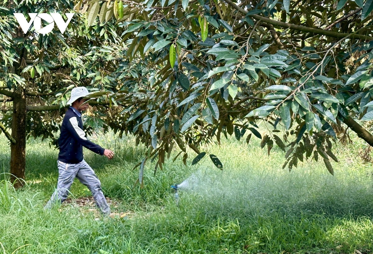 Đắk Lắk chủ động nguồn nước sản xuất trước dự báo khô hạn