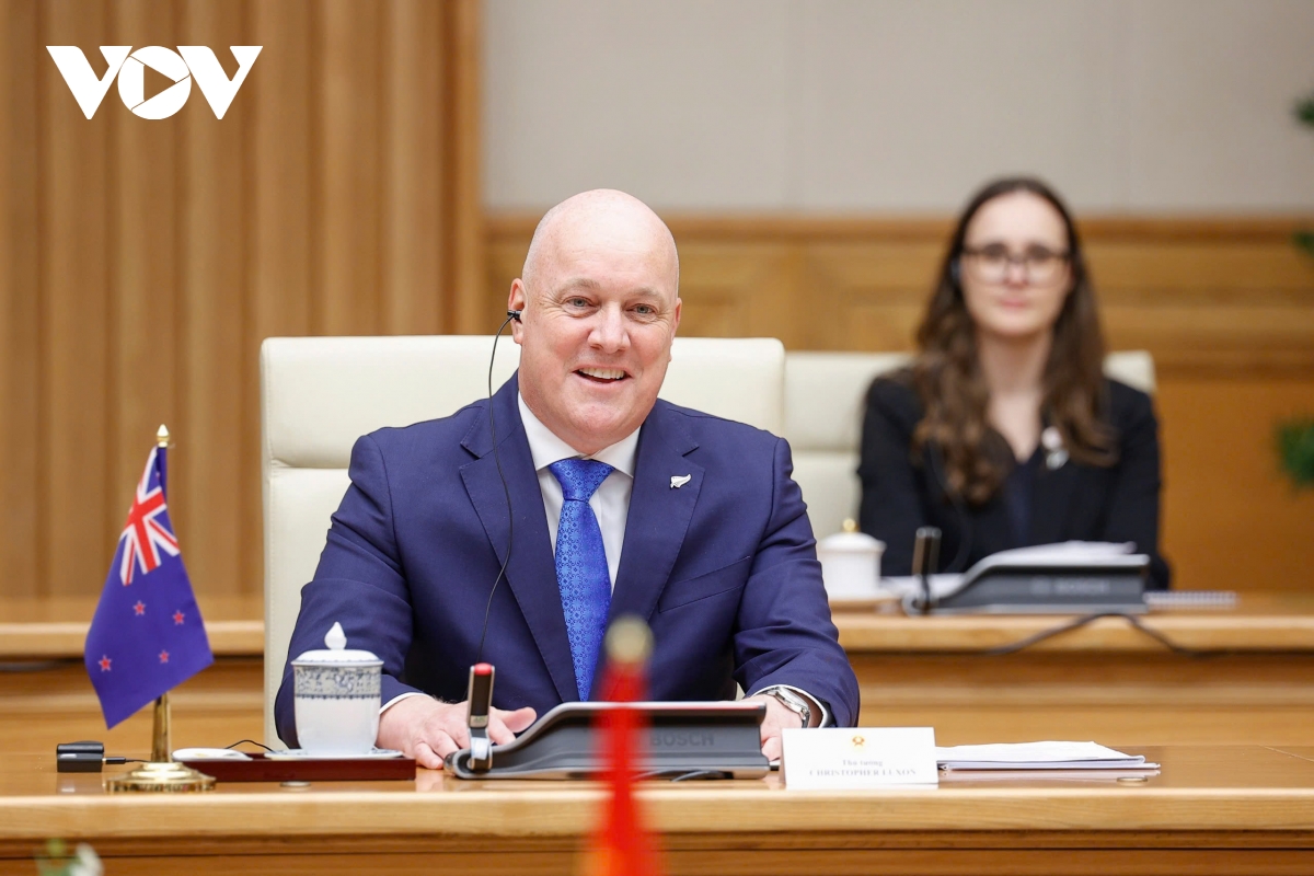 toàn cảnh lễ đón thủ tướng new zealand thăm chính thức việt nam hình ảnh 10 toan canh le don thu tuong new zealand tham chinh thuc viet nam hinh anh 10