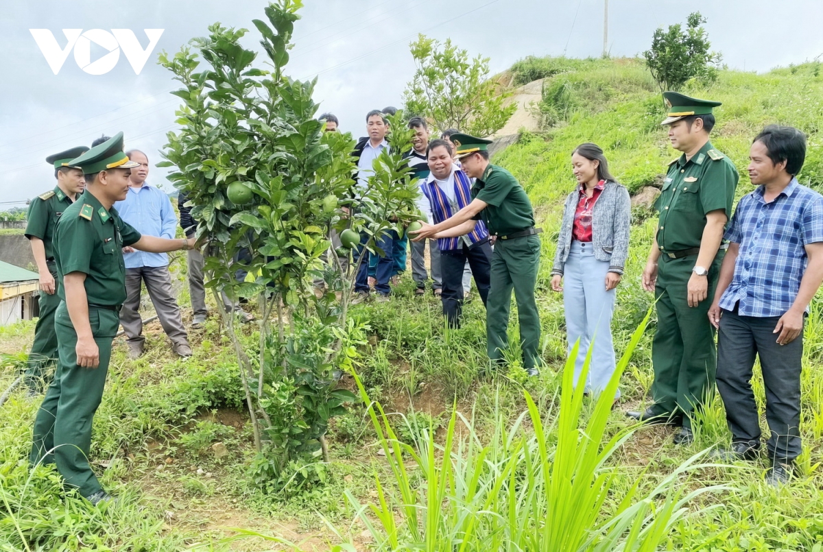 nhan rong mo hinh bo doi bien phong giup dan phat trien kinh te hinh anh 5