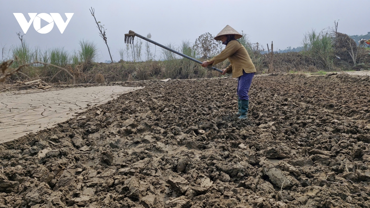  vua rau tuy loc hoi sinh trong xuan som hinh anh 1