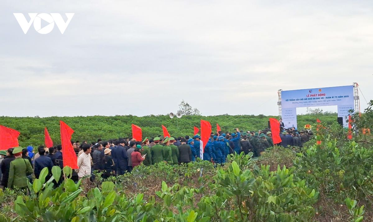 nhan rong hon nua la phoi xanh ven bien, tao sinh ke ben vung cho nguoi dan hinh anh 9