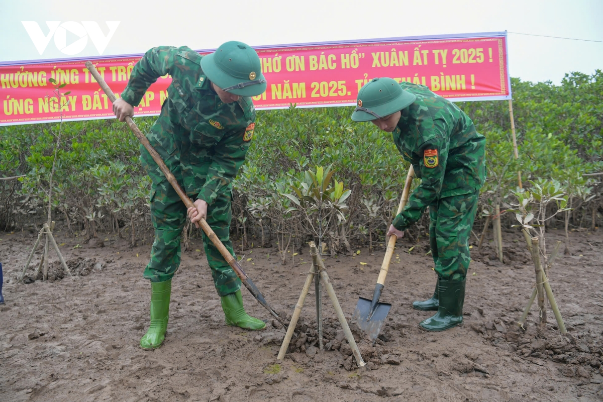 nhan rong hon nua la phoi xanh ven bien, tao sinh ke ben vung cho nguoi dan hinh anh 7