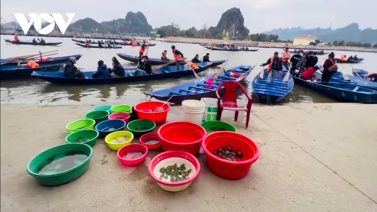 phong sinh rua tai do tai le hoi chua huong - loi bat cap hai hinh anh 3