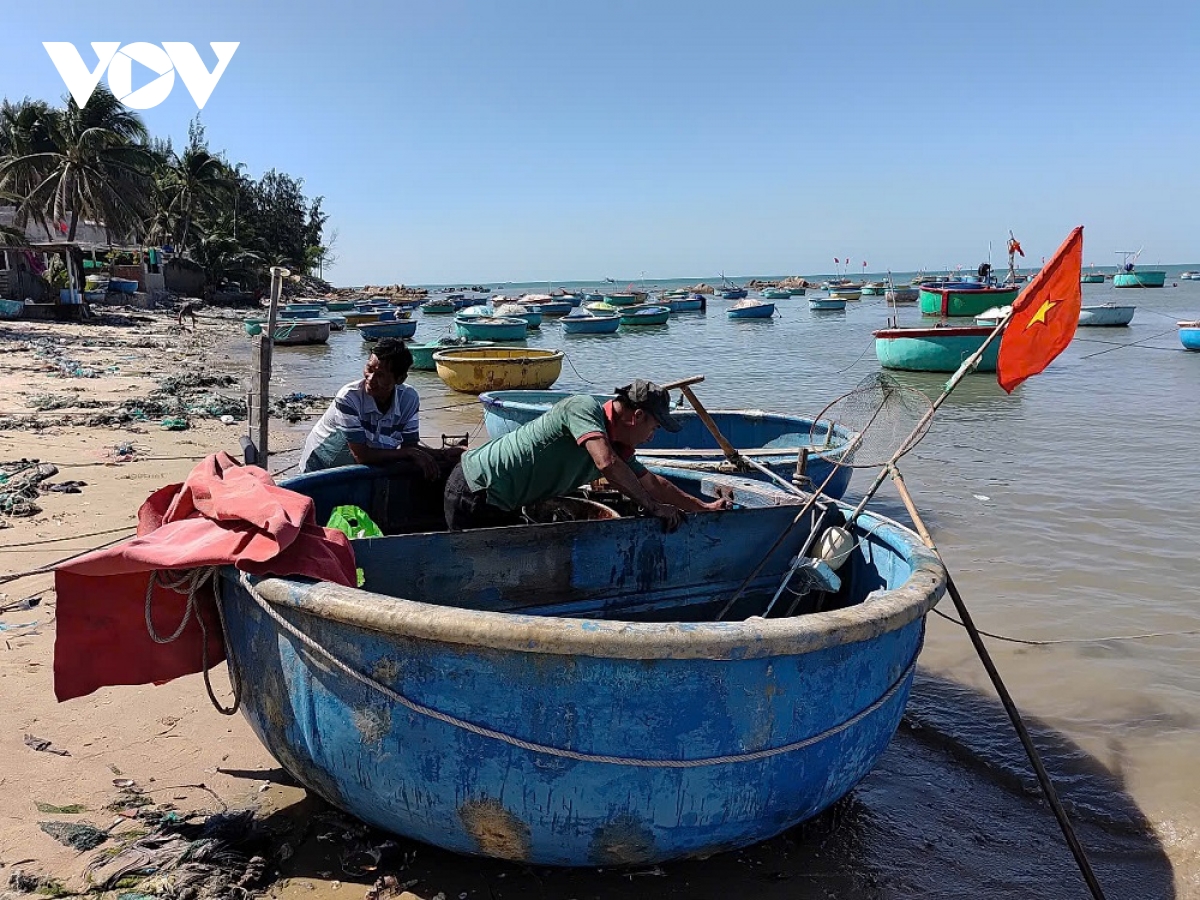 ngu dan binh thuan ra khoi don loc bien dau nam hinh anh 1