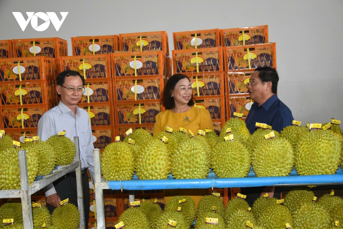 Bến Tre tìm đường xuất khẩu nông sản đạt mức gần 2 tỷ USD