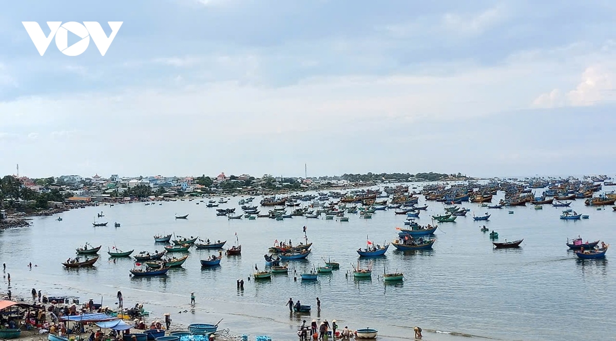 tim thay thi the ngu dan di thung may mat tich tren bien binh thuan hinh anh 1