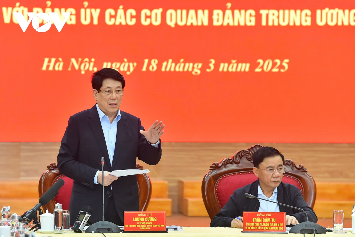 chu tich nuoc chu tri hoi nghi thong qua bao cao cua Doan kiem tra 1907 hinh anh 2