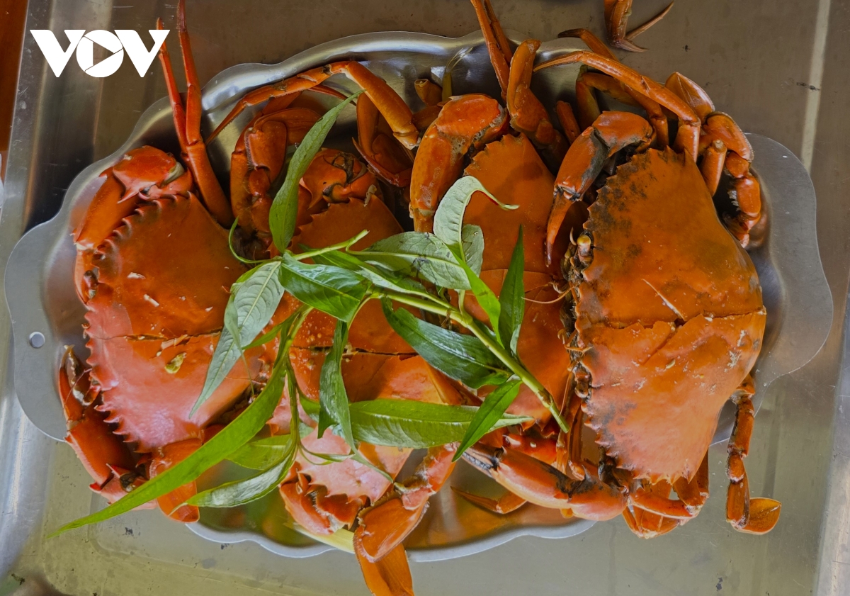 cà mau tổ chức ngày hội cua lần thứ 2 hình ảnh 1 ca mau to chuc ngay hoi cua lan thu 2 hinh anh 1