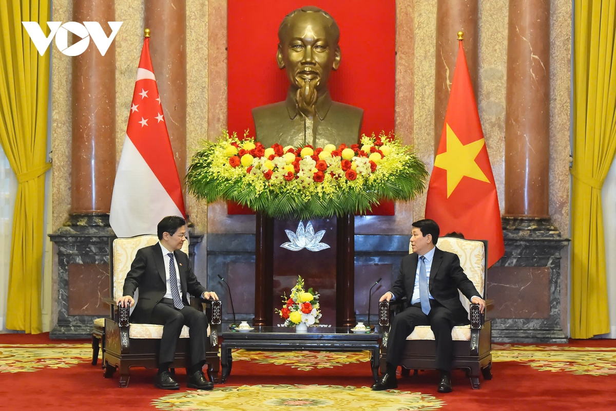 chủ tịch nước đề nghị singapore tiếp tục hỗ trợ việt nam phát triển nguồn nhân lực hình ảnh 3 chu tich nuoc de nghi singapore tiep tuc ho tro viet nam phat trien nguon nhan luc hinh anh 3